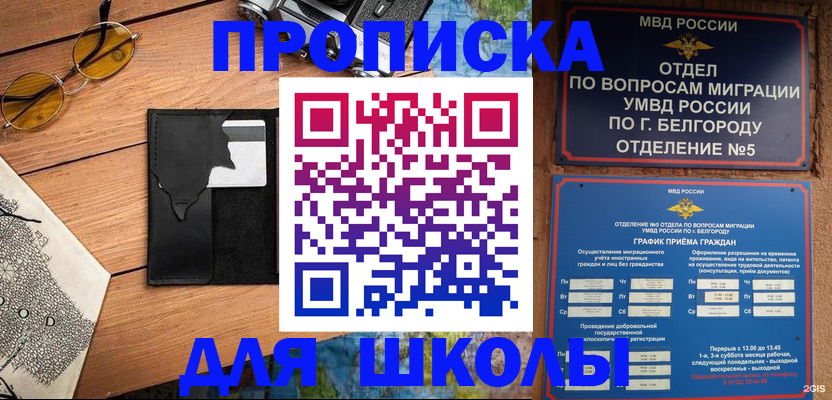 прописка законно в Ярославле